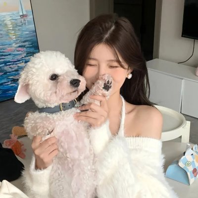 太极旗飘扬