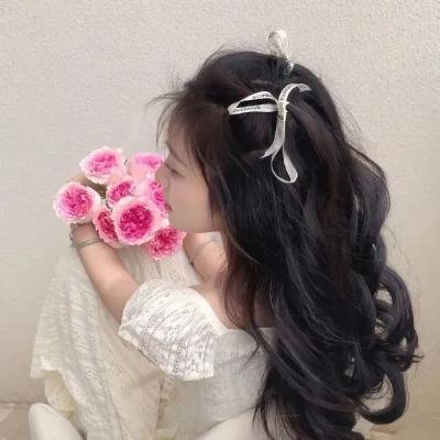 掠夺者